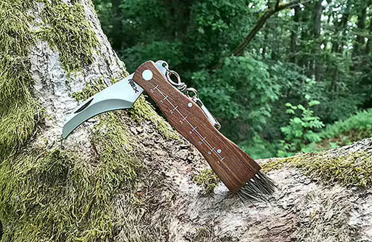 Svampkniv med trähandtag och bökt blad i skogsmiljö