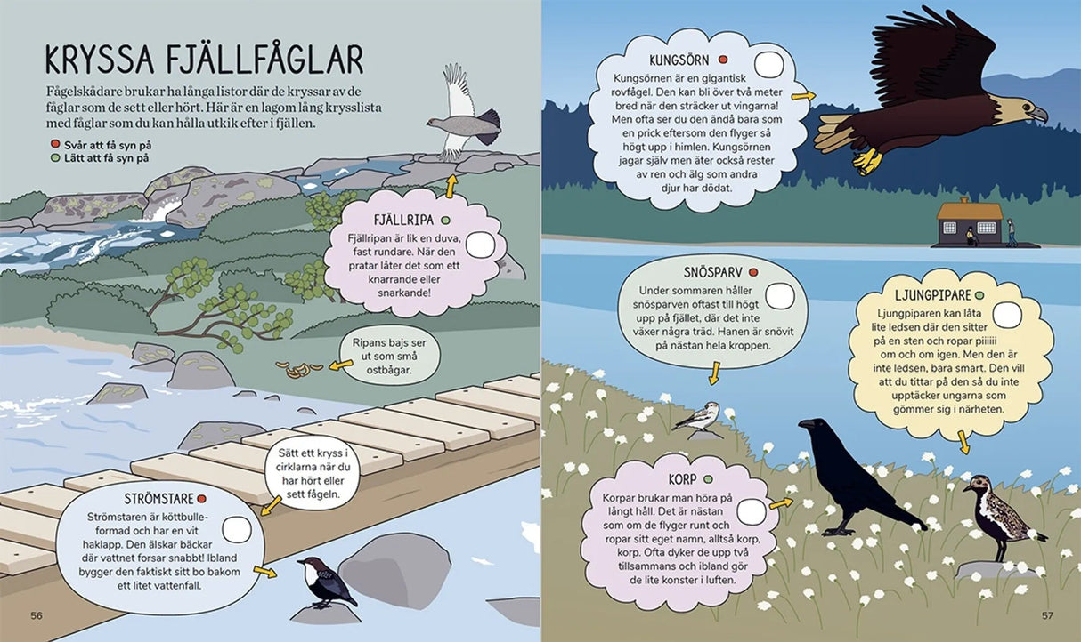Barnens fjällbok - En handbok för unga fjällvandrare