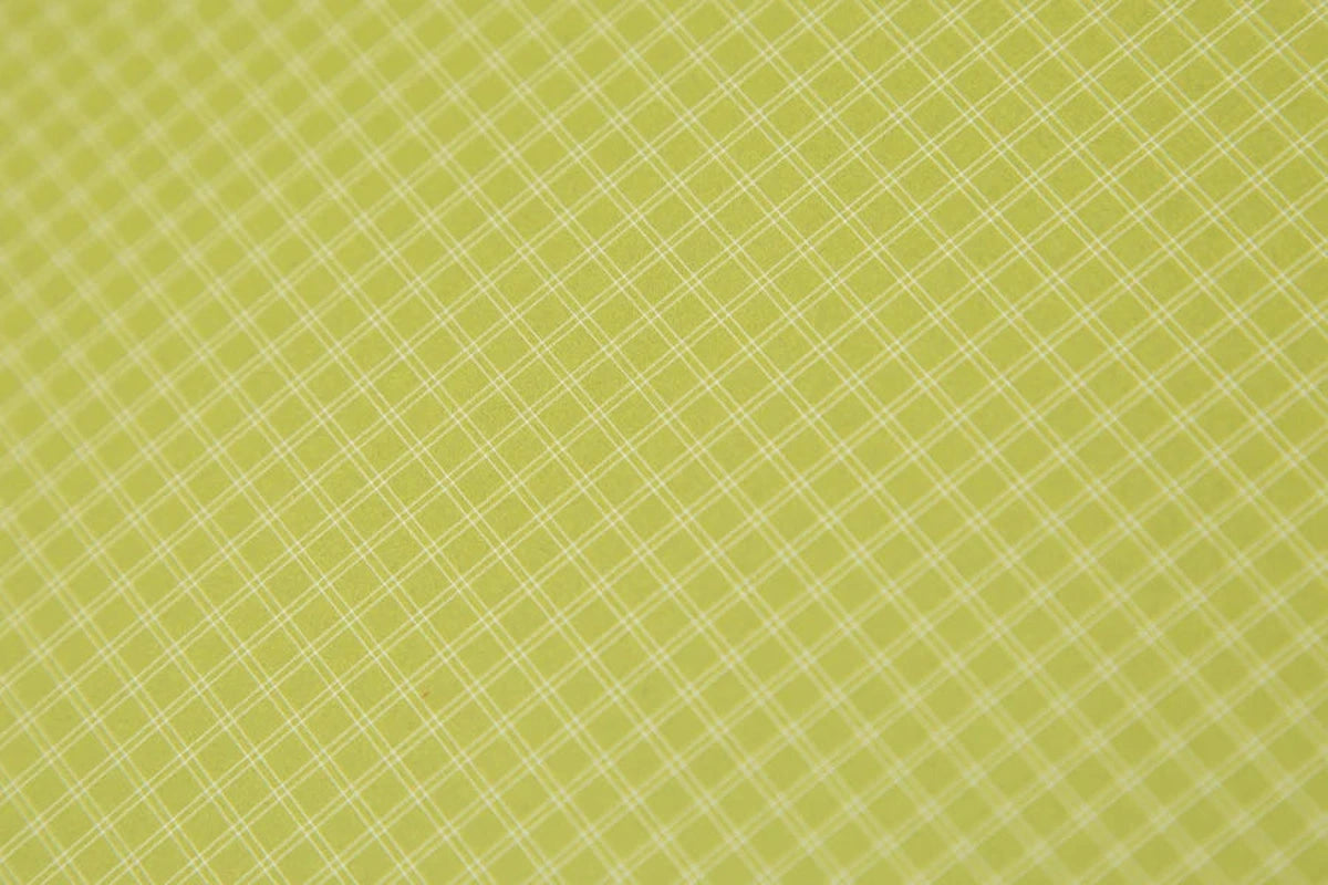 NEMO Dagger OSMO 3P limegrönt tältmaterial med rutnätsmönster