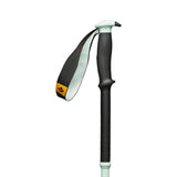 TRAVERSE PRO SKI POLES
