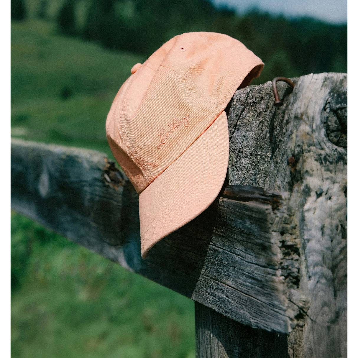 Dad Cap