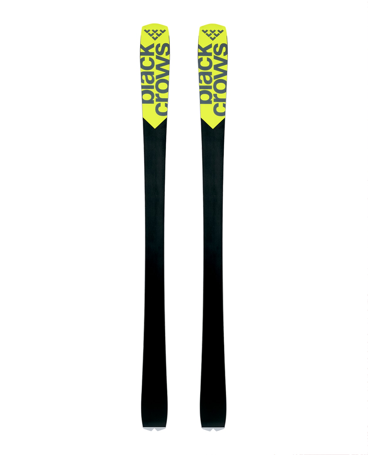 OCTO skis FW 24.25