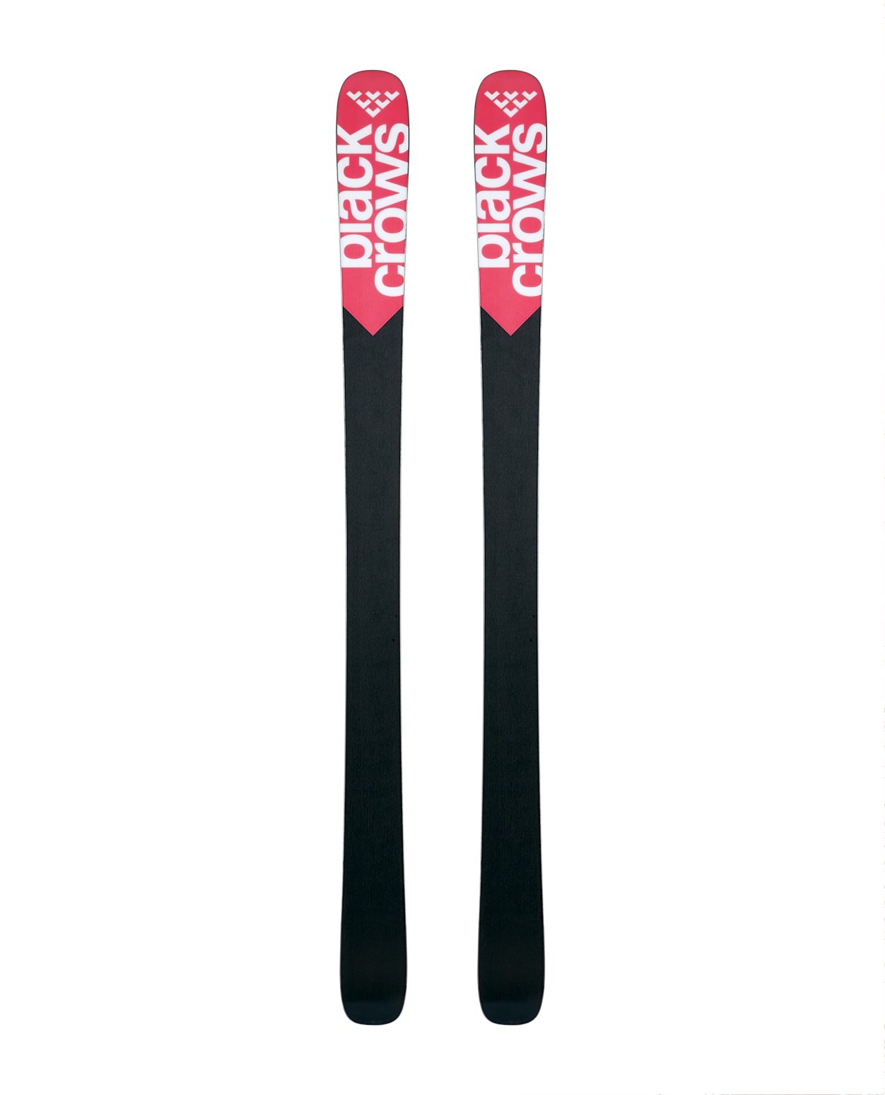 CAMOX BIRDIE skis FW 24.25