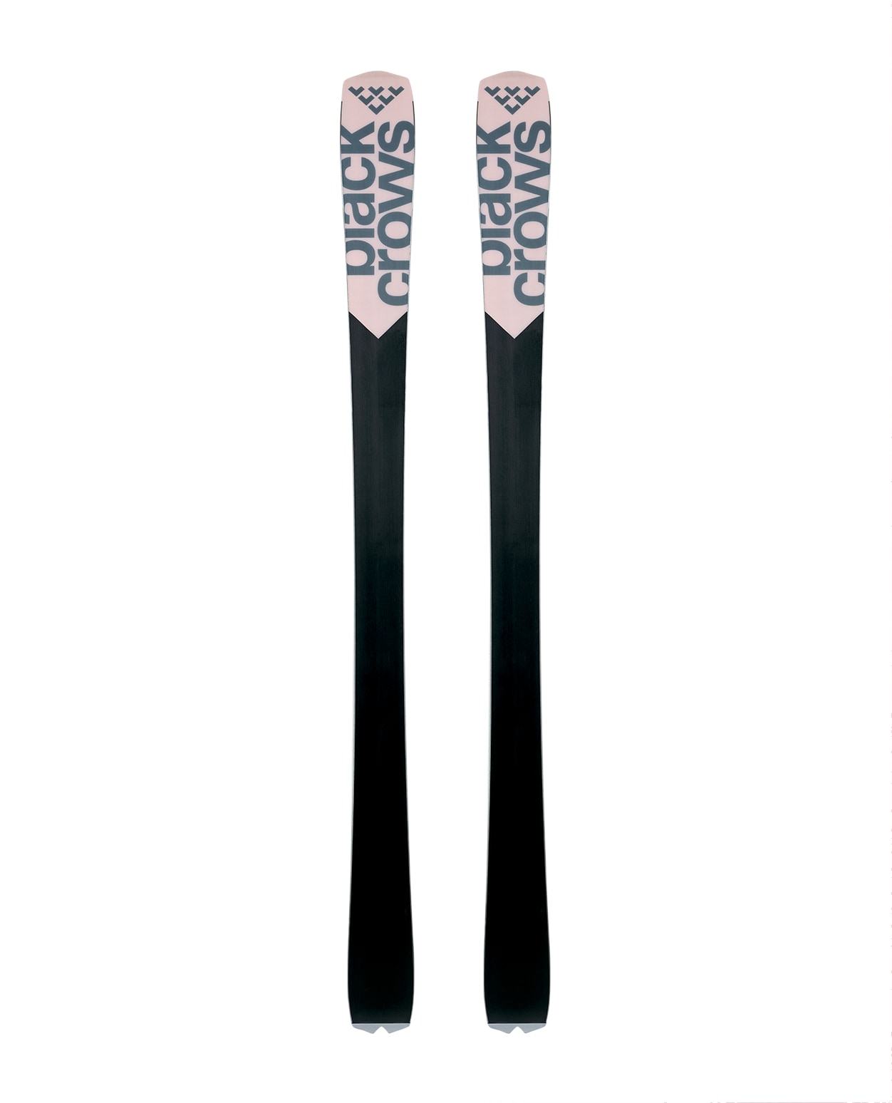 OCTO BIRDIE skis FW 24.25