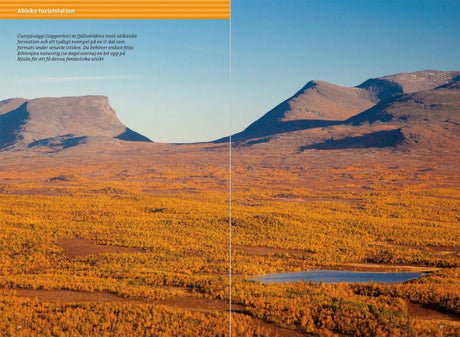 Fjällvandra längs Kungsleden