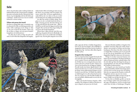 Vandra med hund