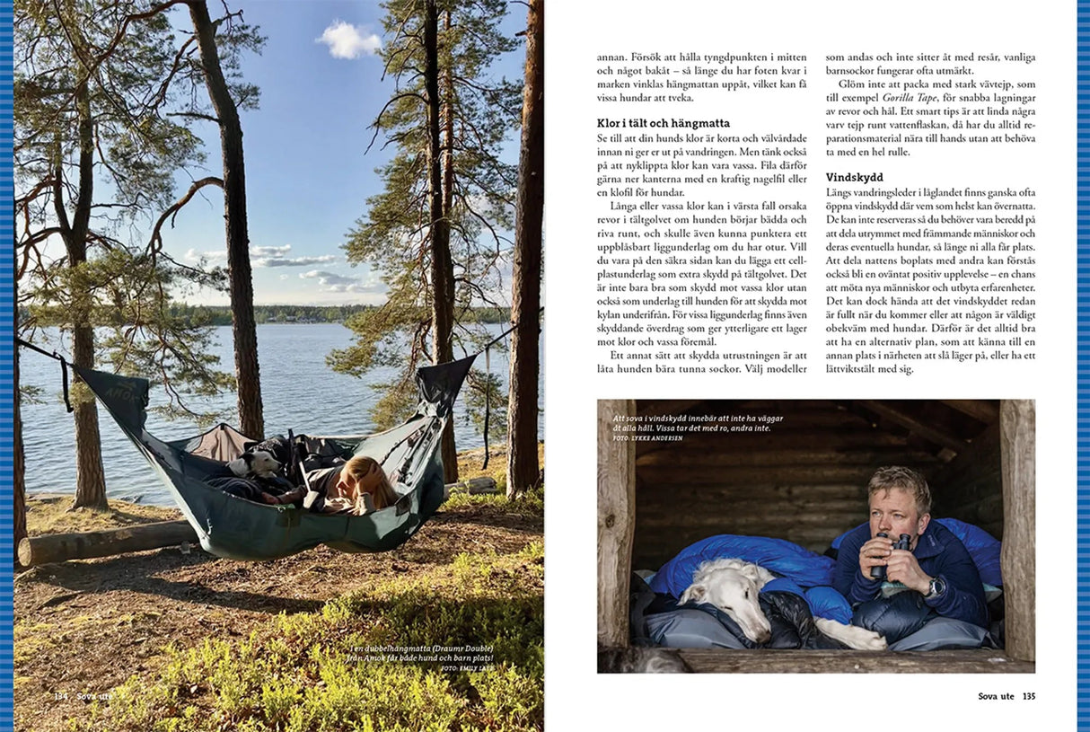 Vandra med hund