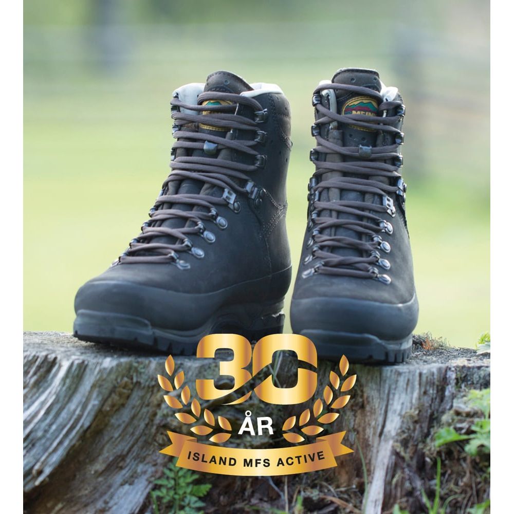 Island MFS Active GTX Känga